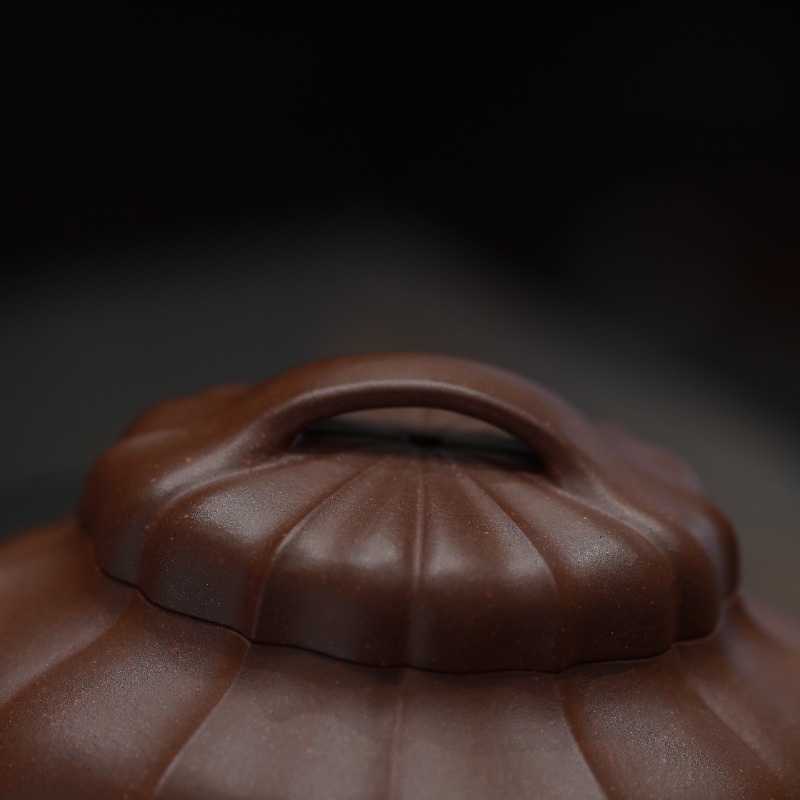 Am_tu_sa_bien_the_tn_5