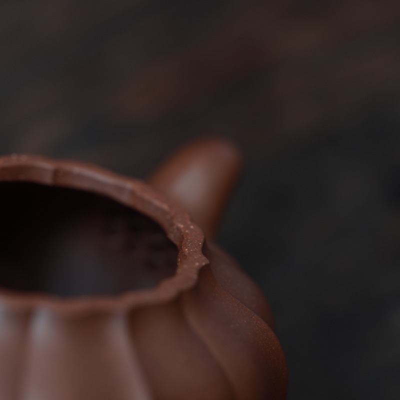 Am_tu_sa_bien_the_tn_8