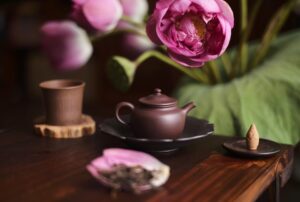 bạch trà mùa hè - ấm tử sa Họa Trà Viên